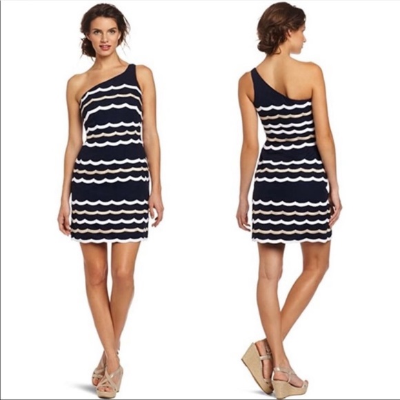 Lilly Pulitzer Dresses & Skirts - Lilly Pulitzer TYLER crochet lace navy dress  $298 size 10